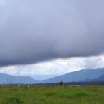 Panorámica